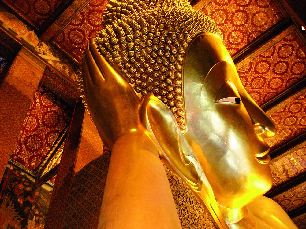 full_content_204_gallery_01544255744